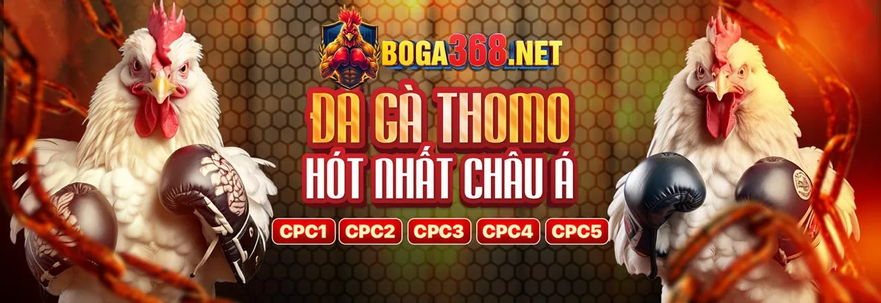 Sòng bạc trực tuyến BJ88 Thomo đẳng cấp hàng đầu Việt Nam