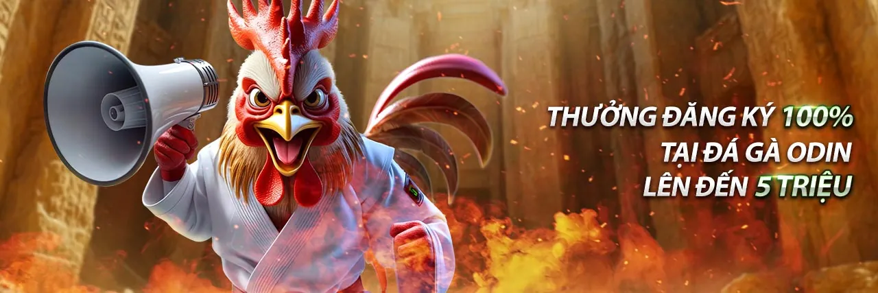 Ưu đãi nạp tiền hàng ngày và hoàn trả cược